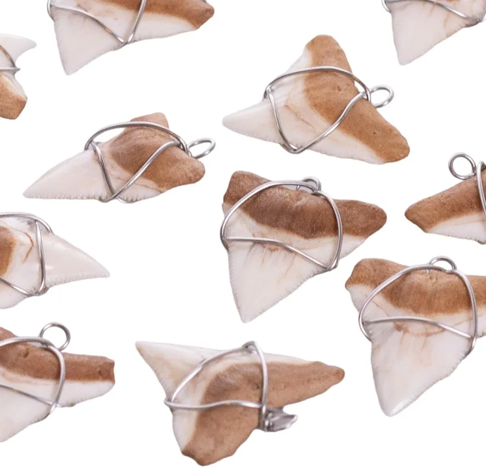 BlueRica Shark Tooth on Coconut and Shell Beads Necklace (20" 4U)