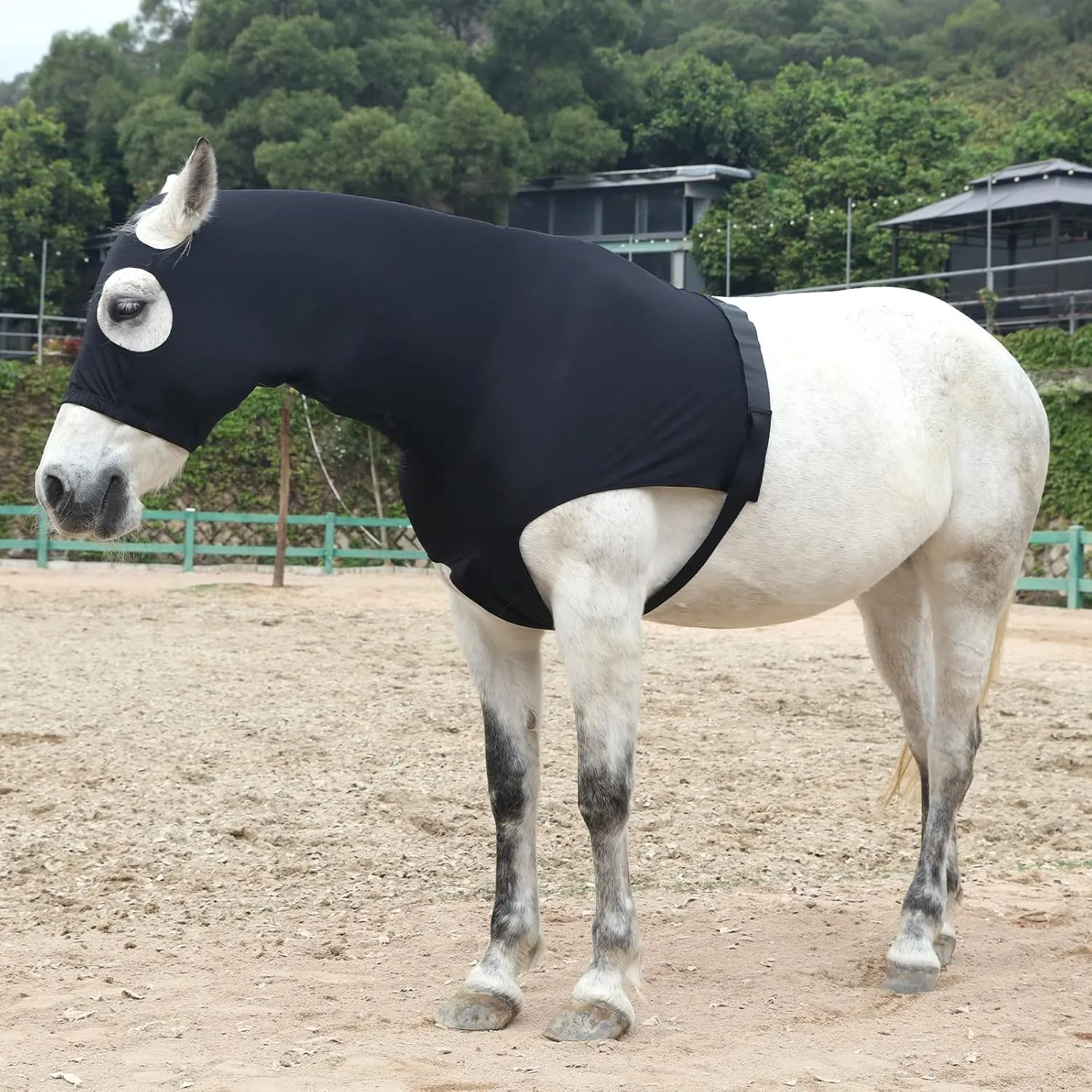Stretch Horse Slinky Hood Spandex Mane Stay Hoods with Zipper Black X-Large